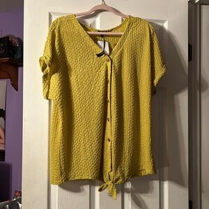 Chartreuse top 2X 🩷